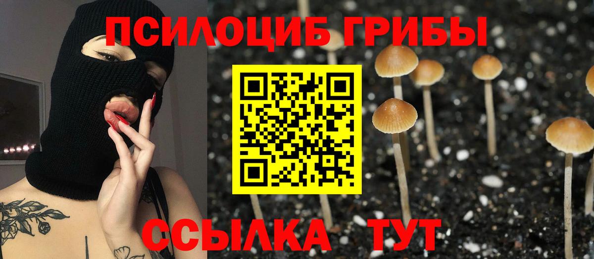 Псилоцибиновые грибы MAGIC MUSHROOMS Реж