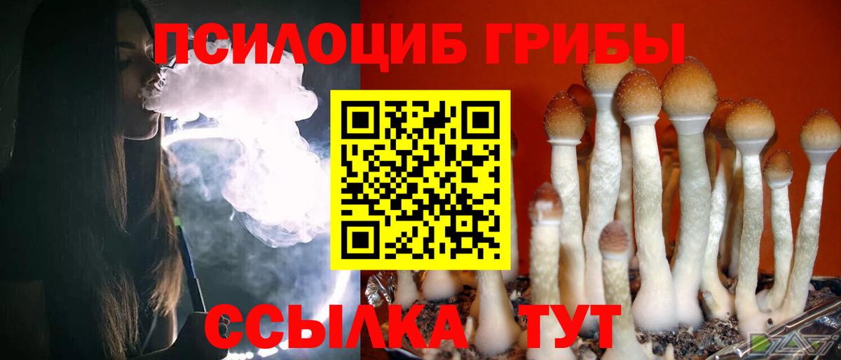 Реж  Псилоцибиновые грибы прущие грибы  Галлюциногенные грибы Psilocybine cubensis  Вход с VPN 